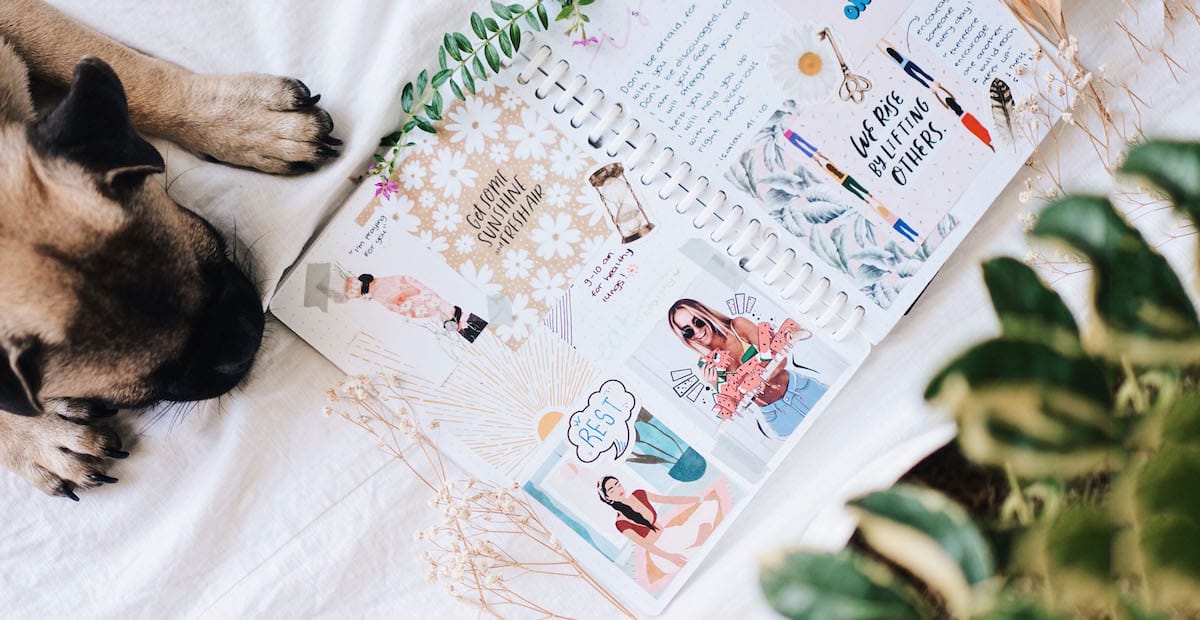 bullet journals and puppy