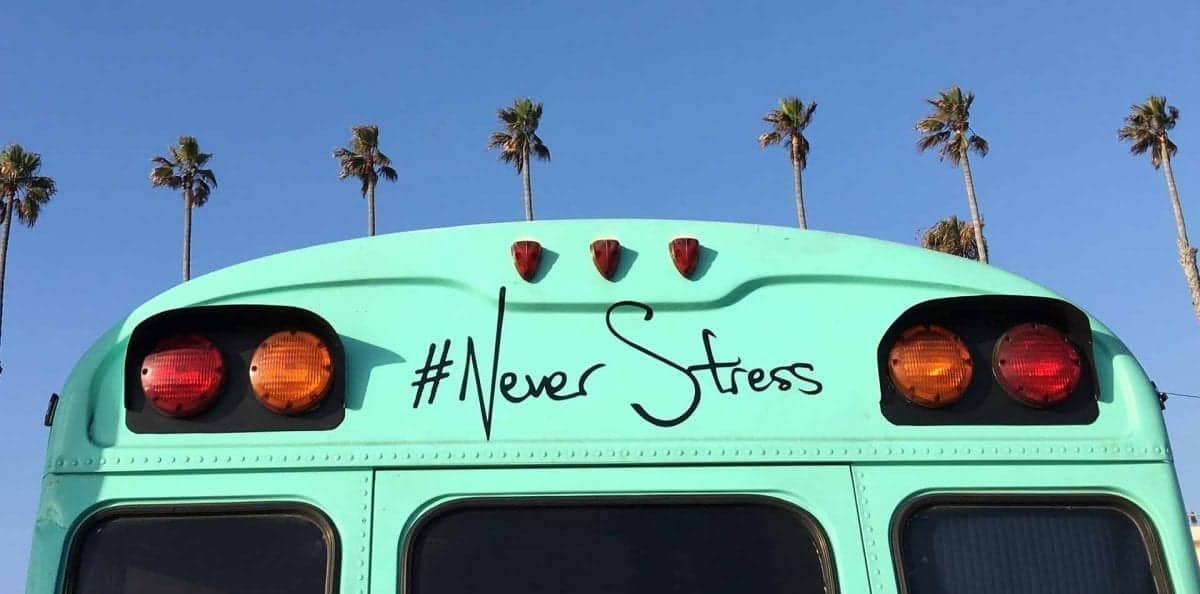 never stress on green buss and palm trees