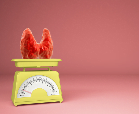 thyroid on yellow scale