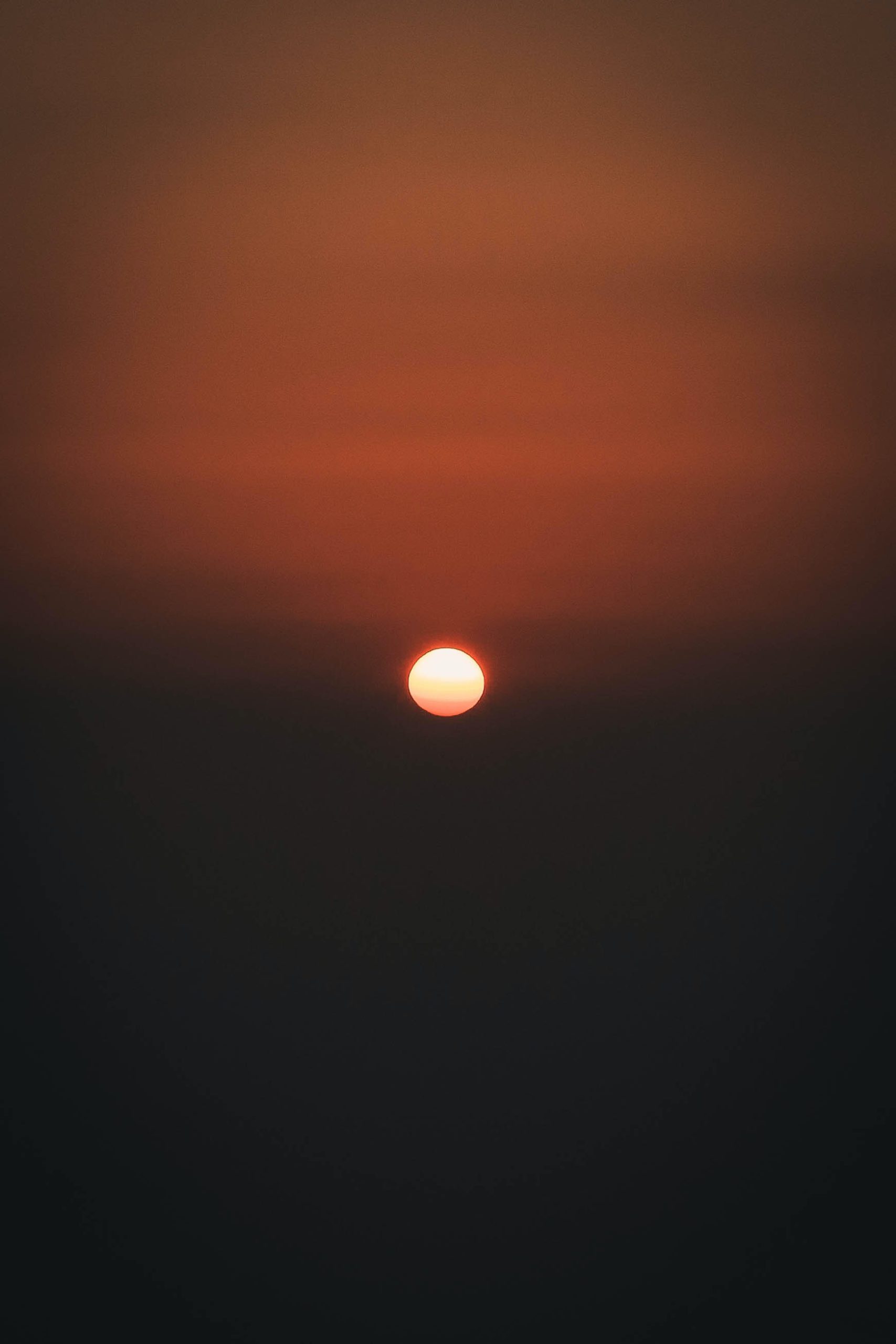 BBT and Progesterone rise together like the sun