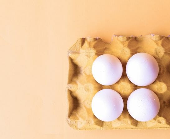 4 eggs representing 4 phases