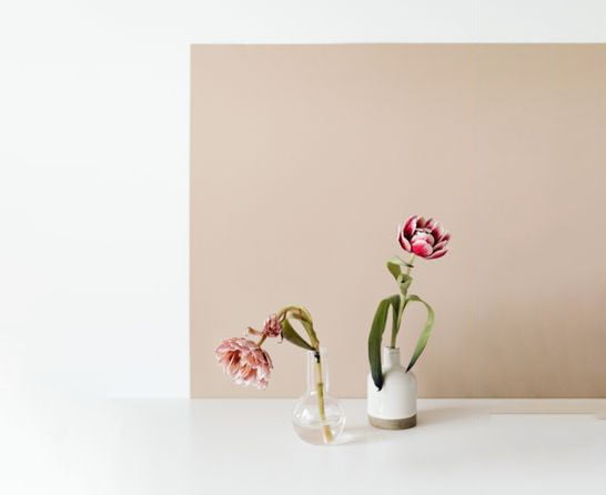 flowers blossoming and wilting