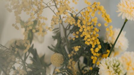 yellow and white flowers