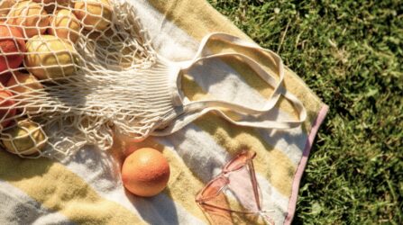 picnic with oranges