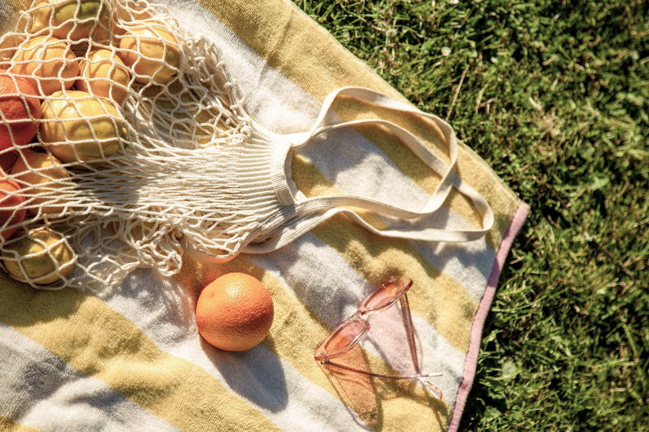 picnic with oranges