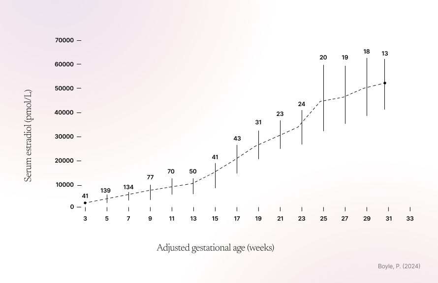 estrogen level chart