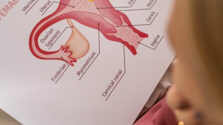 female reproductive system